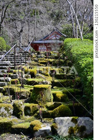 京都Ohara Sanzenin 130215550