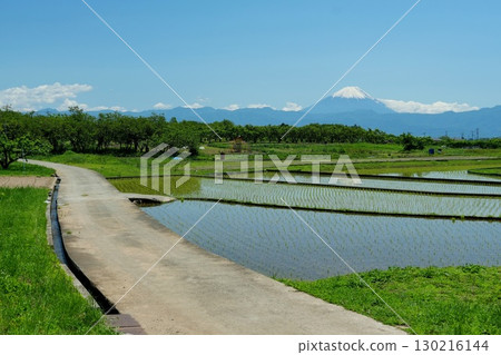 Rice terraces in Nirasaki City after rice planting with blue skies and Mt. Fuji in the background Ver. 5 Rice terraces in Nirasaki City after rice planting with blue skies and Mt. Fuji in the background Ver. 5 130216144