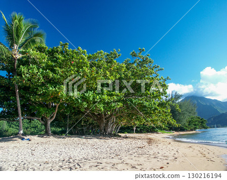 Puupoa Beach, Kauai 130216194