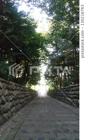 Stone-paved stairs leading down through a forest bathed in sunlight Stone-paved stairs leading down through a forest bathed in sunlight 130216763