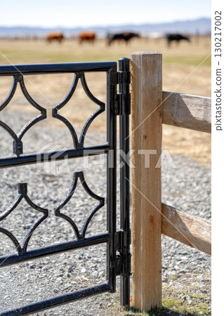 Wrought iron gate enhances sunlit pasture with grazing cattle in serene countryside setting 130217002