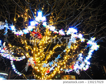 川口光之幻想2024 川口光之幻想2024 130217029