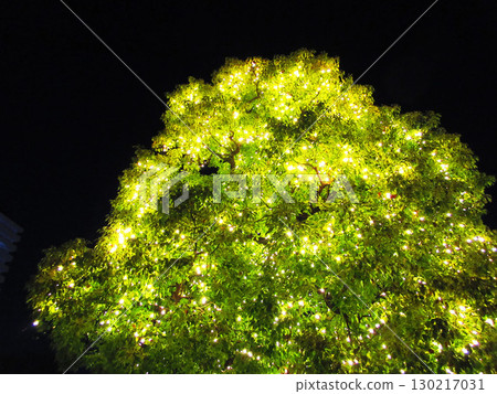 川口光之幻想2024 川口光之幻想2024 130217031