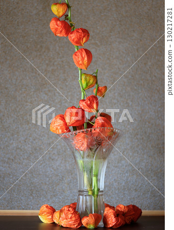 插在花瓶裡的日本燈籠 插在花瓶裡的日本燈籠 130217281