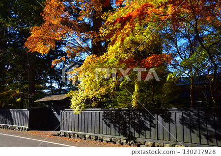 秋季角館武士宅邸街 秋季角館武士宅邸街 130217928