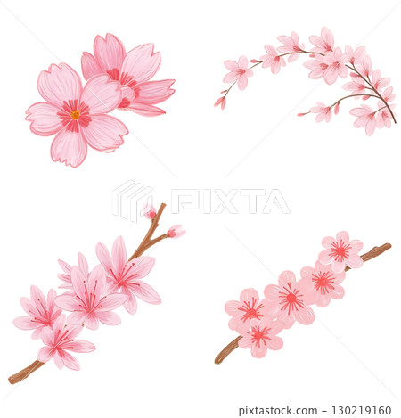 櫻桃樹 櫻桃樹 130219160