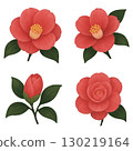 Camellia flower 130219164