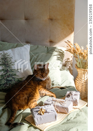 Cat relaxing on bed with Christmas gifts wrapped fabric. 130219568