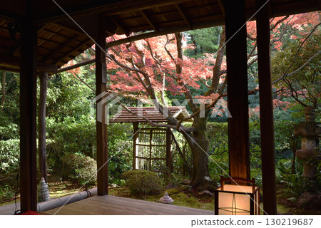 妙心寺分寺：秋日的桂春院侘寂花園（京都市右京區） 130219687