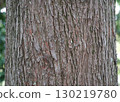 Trunk of lakusho 130219780