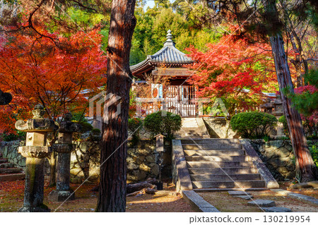 Tsukufukuji寺塔 Tsukufukuji寺塔 130219954