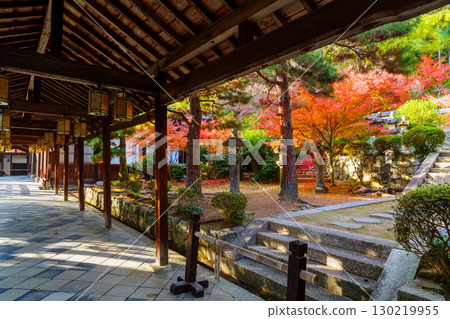 萬福寺的紅葉、迴廊與紅葉 萬福寺的紅葉、迴廊與紅葉 130219955