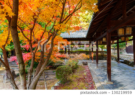 萬福寺、迴廊和秋葉 萬福寺、迴廊和秋葉 130219959