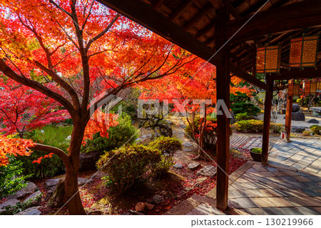 Manpukuji Temple, corridor and autumn leaves 130219966