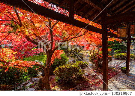 萬福寺、迴廊和秋葉 萬福寺、迴廊和秋葉 130219967