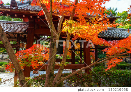 萬福寺、迴廊和秋葉 萬福寺、迴廊和秋葉 130219968