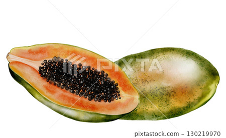 Papaya watercolor. Hand drawn ripe tropical fruit on white background. Ideal for logo, cosmetics and product packaging 130219970