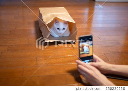 一位女士用智慧型手機為貓咪拍照 130220238