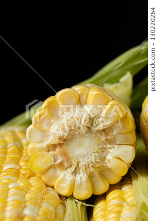 Close-up of fresh raw corn cobs with kernels and husks. Close-up of fresh raw corn cobs with kernels and husks. 130220264