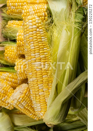 Macro shot of fresh raw corn cobs with green leaves. Macro shot of fresh raw corn cobs with green leaves. 130220272