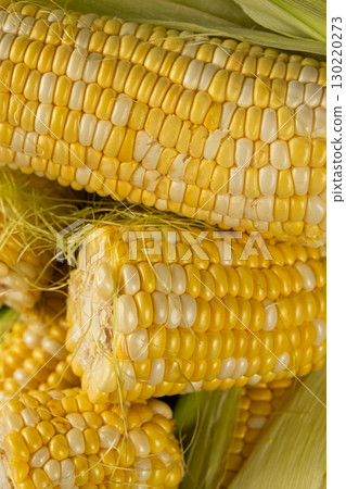 Close-up view of fresh raw corn cobs ready for cooking. 130220273