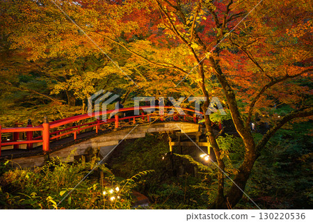 Illuminated Kajika Bridge in autumn, Shibukawa City, Gunma Prefecture Illuminated Kajika Bridge in autumn, Shibukawa City, Gunma Prefecture 130220536