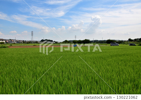 神奈川縣座間市的田園風光 130221062