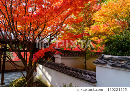 萬福寺、迴廊和秋葉 130221335