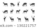 Deer Silhouette Collection, Deer Svg, Deer Animal Silhouette, Deer Animal Svg, Wild Deer Svg, Deer Vector, Deer Clipart, Deer Logo. 130221757