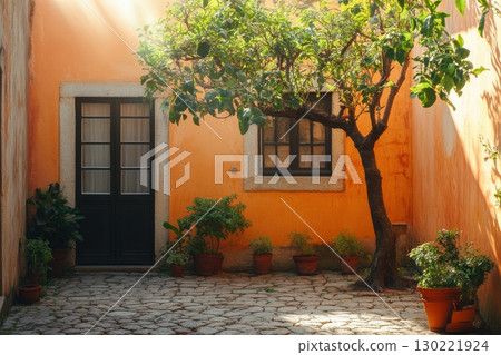Tranquil courtyard with citrus tree urban setting photography bright atmosphere close-up serenity in nature 130221924