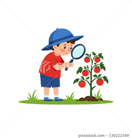 Child examining tomato plant with magnifying glass in garden vector illustration 130222599
