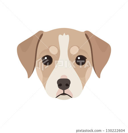 Dog face vector illustration with brown and beige colors simple design vector, illustration Dog face vector illustration with brown and beige colors simple design vector, illustration 130222604