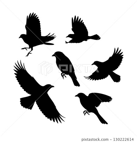 Silhouettes of flying and perching birds in various poses vector illustration 130222614