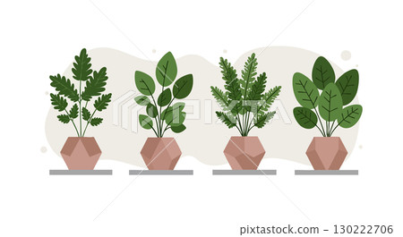 Four potted green indoor plants in modern geometric pots vector illustration Four potted green indoor plants in modern geometric pots vector illustration 130222706