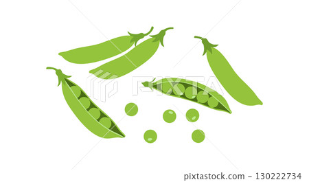 Green Pea Pods with Fresh Peas Vector Illustration in Simple Style 130222734