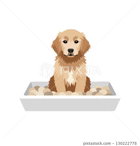 Golden retriever puppy sitting in a dog bed with beige and brown tones vector illustration 130222778
