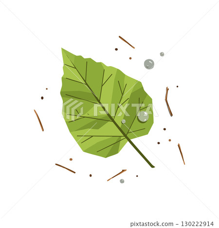 Green leaf with water droplets and scattered twigs vector illustration nature elements Green leaf with water droplets and scattered twigs vector illustration nature elements 130222914