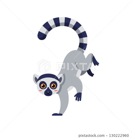 Ring Tailed Lemur Climbing with Curved Tail and Big Orange Eyes Vector Illustration Ring Tailed Lemur Climbing with Curved Tail and Big Orange Eyes Vector Illustration 130222960