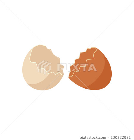 Cracked eggshell halves in beige and brown vector illustration for cooking and food design 130222981