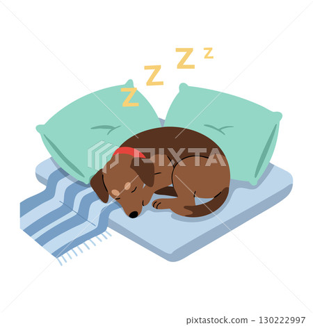 Sleeping brown dog curled up on striped blanket with green pillows peaceful rest vector illustration 130222997