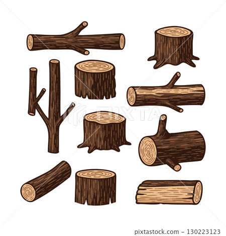 Different types of tree branches and wooden logs vector illustration natural wood textures Different types of tree branches and wooden logs vector illustration natural wood textures 130223123