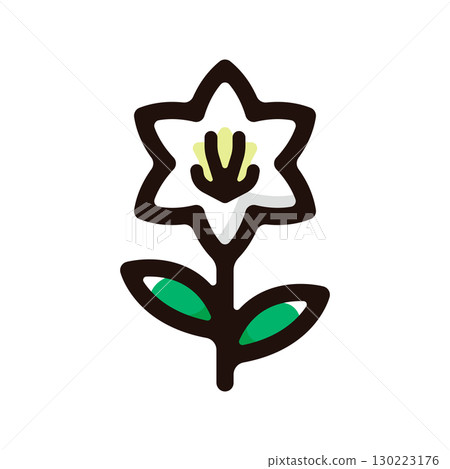 復活節百合,復活節百合插圖圖示(園藝,園藝,花卉材料) 復活節百合,復活節百合插圖圖示(園藝,園藝,花卉材料) 130223176