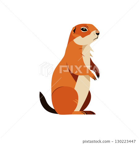 Prairie dog standing alert animal wildlife vector illustration in orange and brown shades 130223447