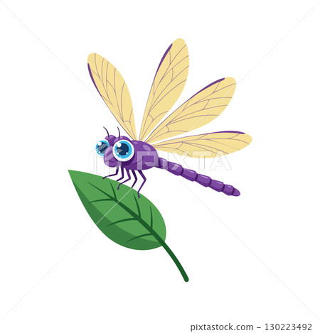 Purple dragonfly with large blue eyes perched on green leaf vector illustration 130223492