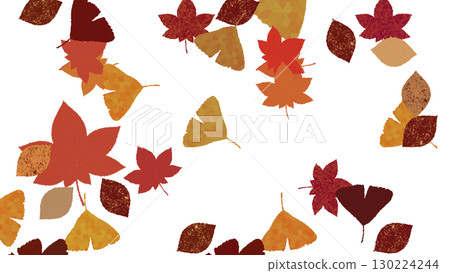 Autumn leaves and fallen leaves illustration material with transparent background Autumn leaves and fallen leaves illustration material with transparent background 130224244