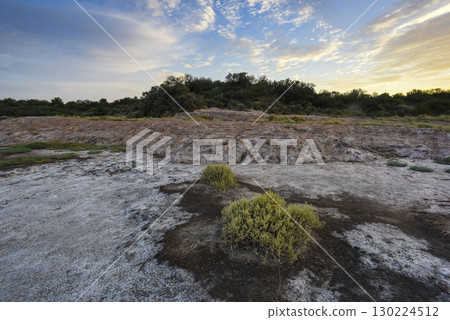 Saltpeter on the floor of a lagoon in a semi desert environment, La Pampa province, Patagonia, Argentina. Saltpeter on the floor of a lagoon in a semi desert environment, La Pampa province, Patagonia, Argentina. 130224512
