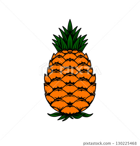 Illustration of pineapple. Vector design element Illustration of pineapple. Vector design element 130225468