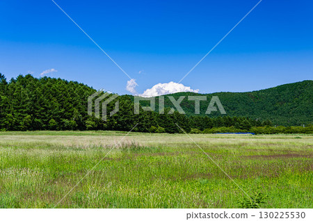 盛夏的草原 130225530