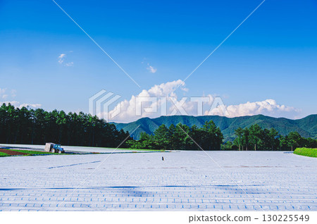 Lettuce Highway Kawakami Village 130225549