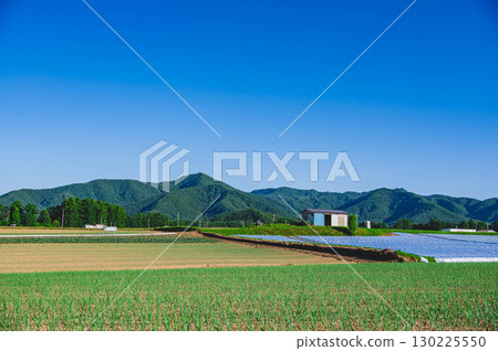 Lettuce Highway Kawakami Village Lettuce Highway Kawakami Village 130225550